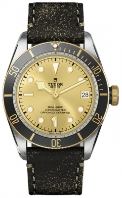 Tudor Black Bay 41mm M79733N-0003 watch